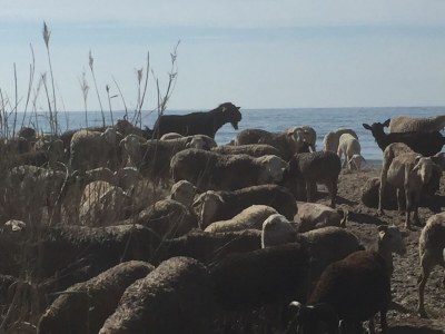 Bungalow Casa Montana - Environment photo 25