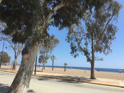 Bungalow Casa Montana - Environment photo 26