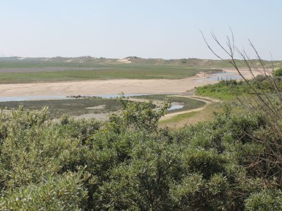 Apartment Branding C 1.2 - Environment photo 15