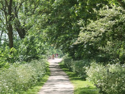 Apartment CDZND 102 - Environment photo 16