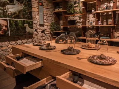 Villa Boutique Pucinum - Environment photo 28