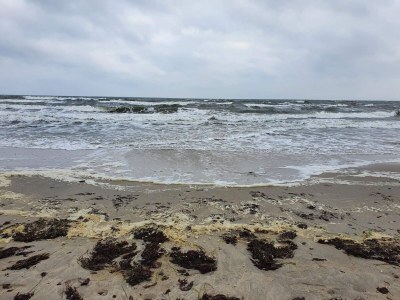 Holiday house 6 person holiday home in Gedser-By Traum - Outdoor photo 8