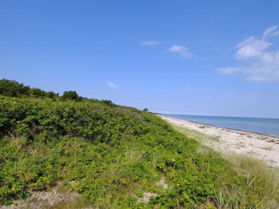 Holiday house 6 person holiday home in Gedser-By Traum - Outdoor photo 11