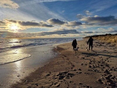 Holiday house 6 person holiday home in Gedser-By Traum - Outdoor photo 12