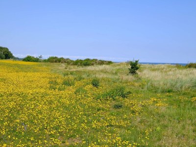 Holiday house 6 person holiday home in Gedser-By Traum - Outdoor photo 18