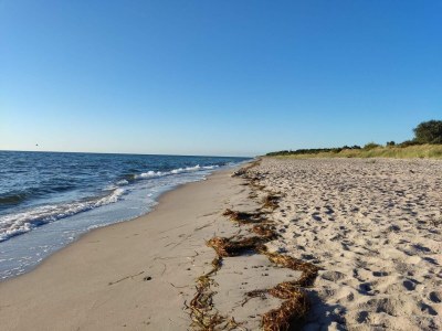 Holiday house 6 person holiday home in Gedser-By Traum - Outdoor photo 22