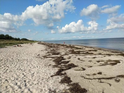 Holiday house 6 person holiday home in Gedser-By Traum - Outdoor photo 23