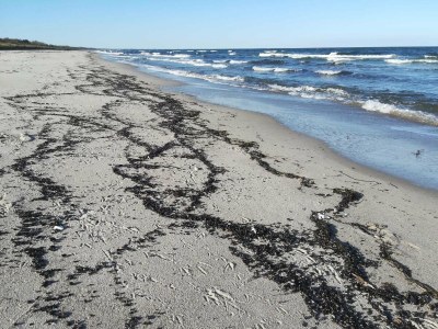 Holiday house 6 person holiday home in Gedser-By Traum - Outdoor photo 24