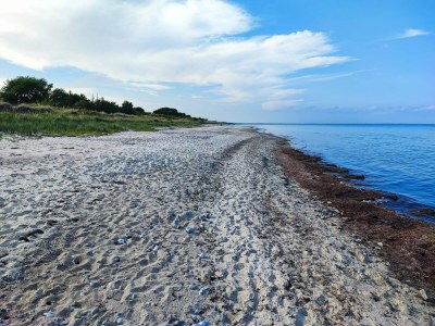 Holiday house 6 person holiday home in Gedser-By Traum - Outdoor photo 25