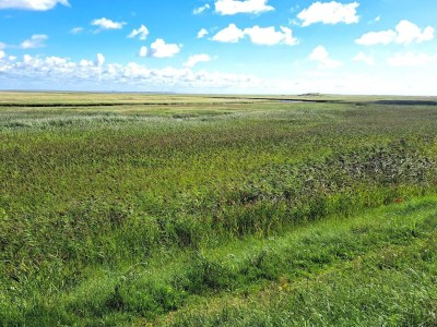 Holiday house Luxurioses Refugium mit Pool -- By Traum Ferienwohnungen - Outdoor photo 7
