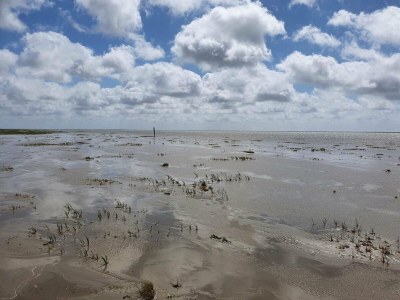 Holiday house Luxurioses Refugium mit Pool -- By Traum Ferienwohnungen - Outdoor photo 8