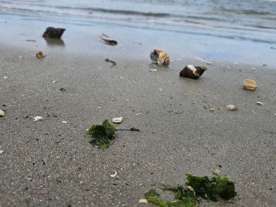 Holiday house Luxurioses Refugium mit Pool -- By Traum Ferienwohnungen - Outdoor photo 9