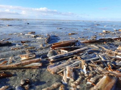 Holiday house Luxurioses Refugium mit Pool -- By Traum Ferienwohnungen - Outdoor photo 12