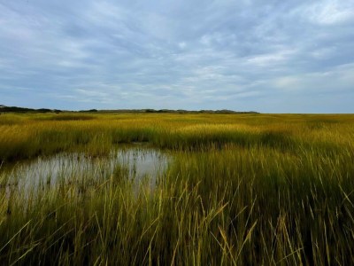 Holiday house Luxurioses Refugium mit Pool -- By Traum Ferienwohnungen - Outdoor photo 35