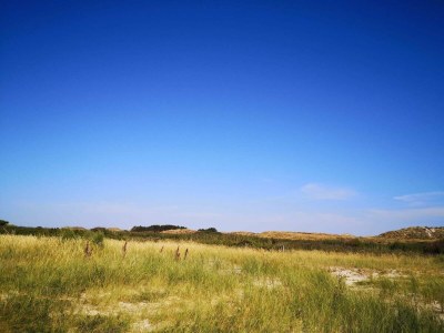 Holiday house Luxurioses Refugium mit Pool -- By Traum Ferienwohnungen - Outdoor photo 36