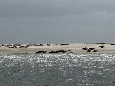 Holiday house Luxurioses Refugium mit Pool -- By Traum Ferienwohnungen - Outdoor photo 37