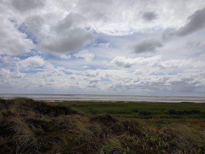 Holiday house Luxurioses Refugium mit Pool -- By Traum Ferienwohnungen - Outdoor photo 41