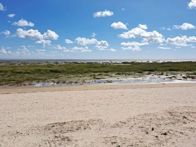 Holiday house Luxurioses Refugium mit Pool -- By Traum Ferienwohnungen - Outdoor photo 42