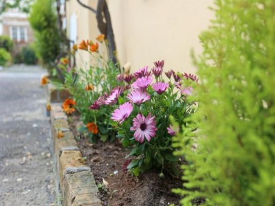 Apartment Cosy holiday home in Benitses with outdoor pool - Environment photo 10