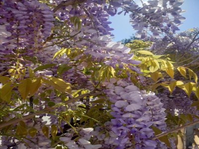 Apartment Cosy holiday home in Benitses with outdoor pool - Environment photo 28