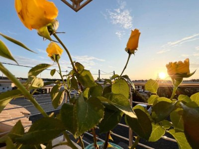 Apartment Cosy holiday home in Benitses with outdoor pool - Environment photo 29