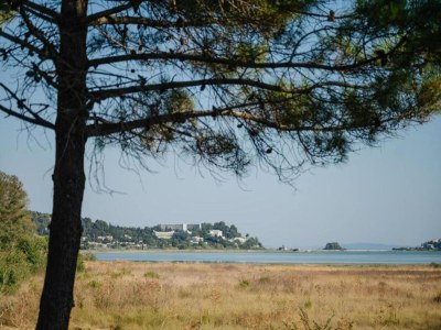 Apartment Cosy holiday home in Benitses with outdoor pool - Environment photo 30