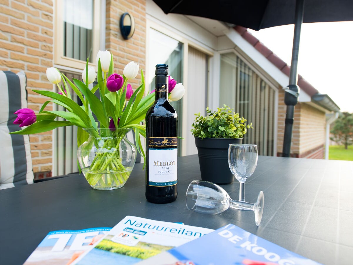 Holiday house Texel island with sauna, bathtub, pets allowed - Outdoor photo 4