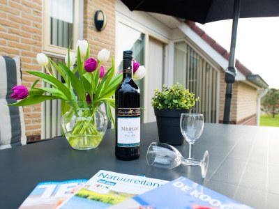 Holiday house Texel island with sauna, bathtub, pets allowed - Outdoor photo 4