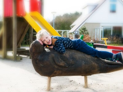 Holiday house Texel island with sauna, bathtub, pets allowed - Outdoor photo 6