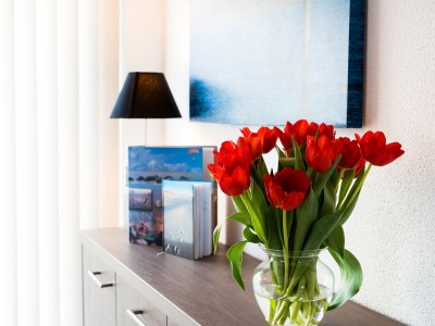 Holiday house Texel island with sauna, bathtub, pets allowed - Features photo 11