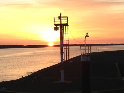 Holiday house Texel island with sauna, bathtub, pets allowed - Environment photo 25