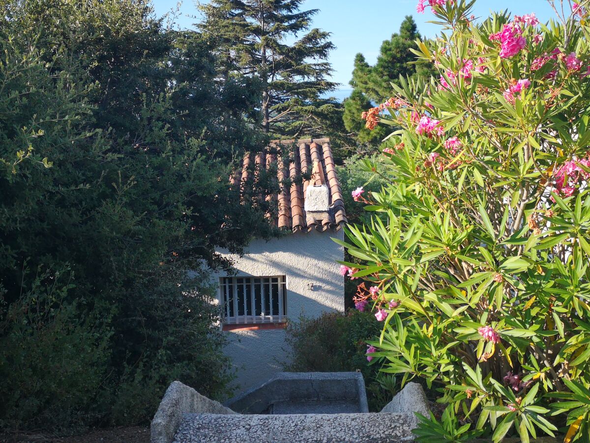 Holiday house Mia's Witch Cottage - Outdoor photo 2