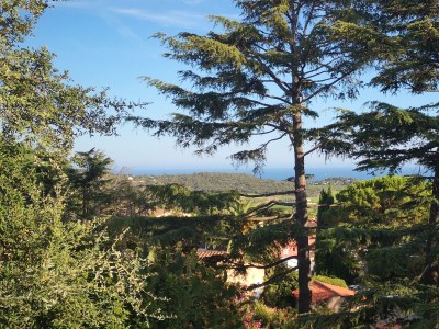 Holiday house Mia's Witch Cottage - Outdoor photo 5