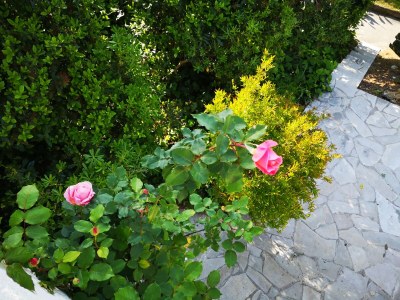 Holiday house Mia's Witch Cottage - Outdoor photo 8