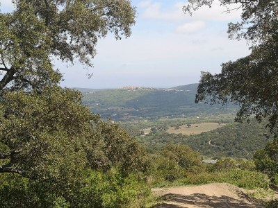 Holiday house Mia's Witch Cottage - Environment photo 27