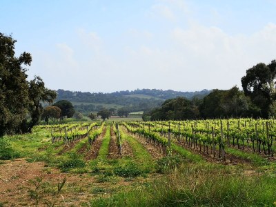 Holiday house Mia's Witch Cottage - Environment photo 28