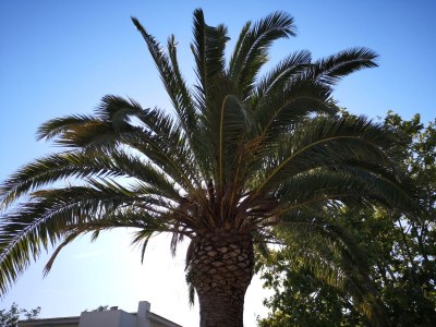 Holiday house Mia's Witch Cottage - Environment photo 32