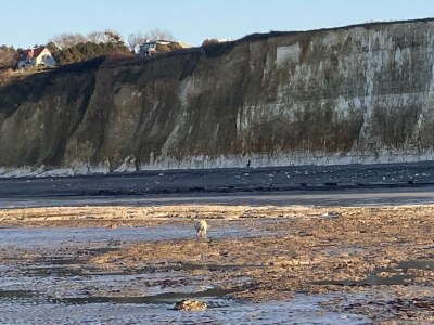 Holiday house Maison de Marguerite - Environment photo 19