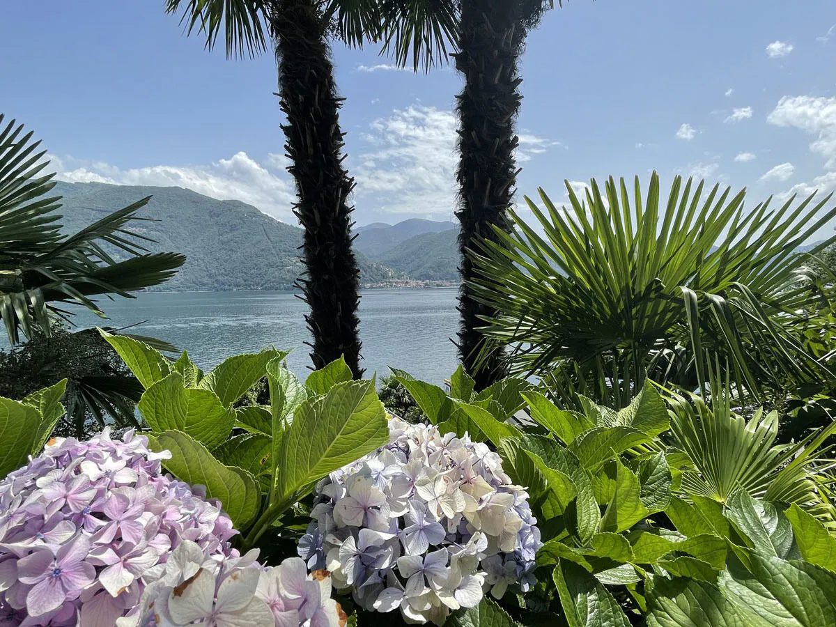 Apartment Ortensia - Outdoor photo 5