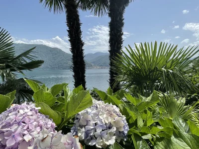 Apartment Ortensia - Outdoor photo 5