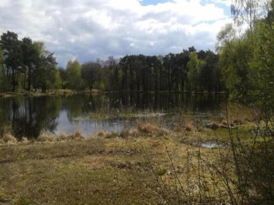 Apartment Historic City Apartment with Private Patio - Environment photo 19