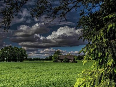 Apartment Historic City Apartment with Private Patio - Environment photo 20