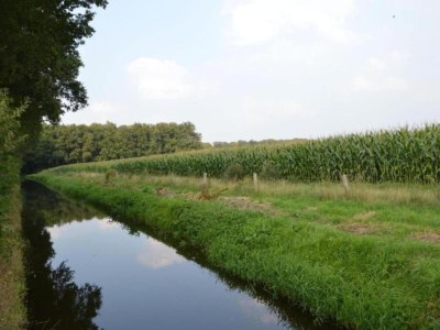 Apartment Historic City Apartment with Private Patio - Environment photo 23
