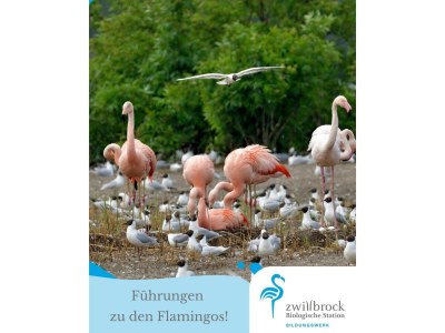 Apartment Historic City Apartment with Private Patio - Environment photo 28