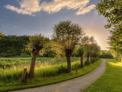 Apartment Historic City Apartment with Private Patio - Environment photo 29