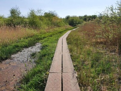 Apartment Historic City Apartment with Private Patio - Environment photo 37