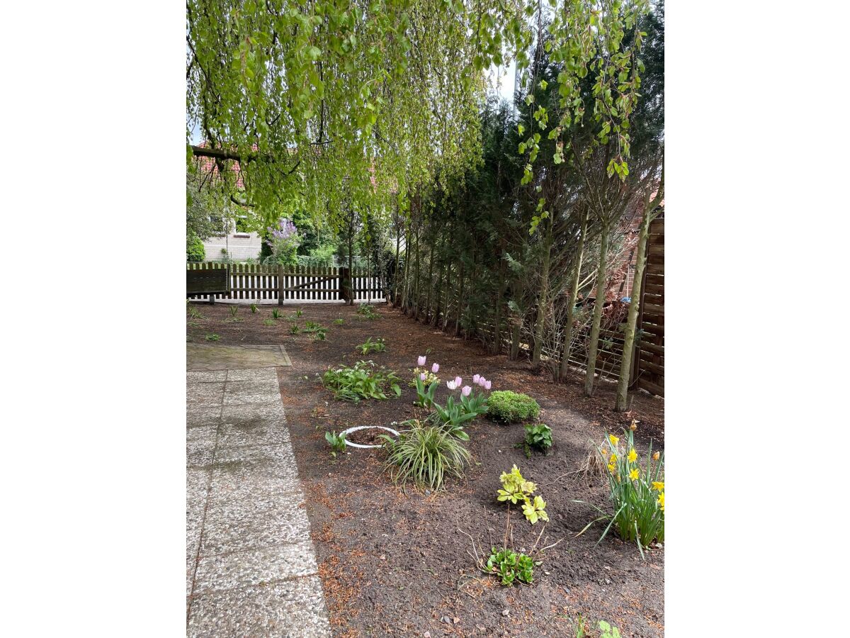 Holiday apartment "Oldau's Little Nest" - Outdoor photo 5