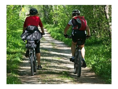 Holiday apartment "Oldau's Little Nest" - Environment photo 27