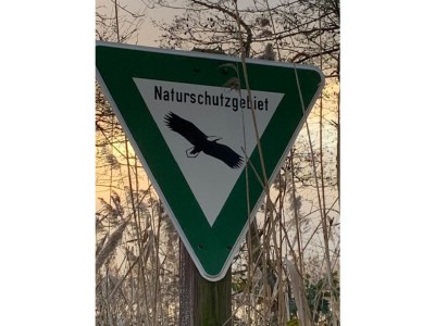 Holiday apartment "Oldau's Little Nest" - Environment photo 30