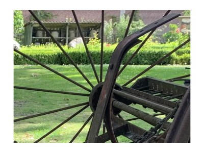 Holiday apartment "Oldau's Little Nest" - Environment photo 31